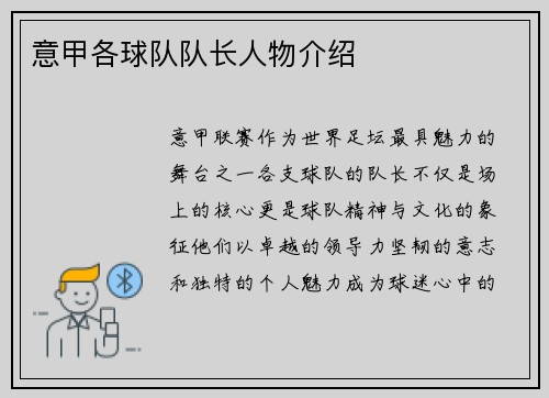意甲各球队队长人物介绍