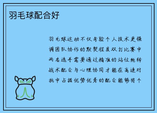 羽毛球配合好